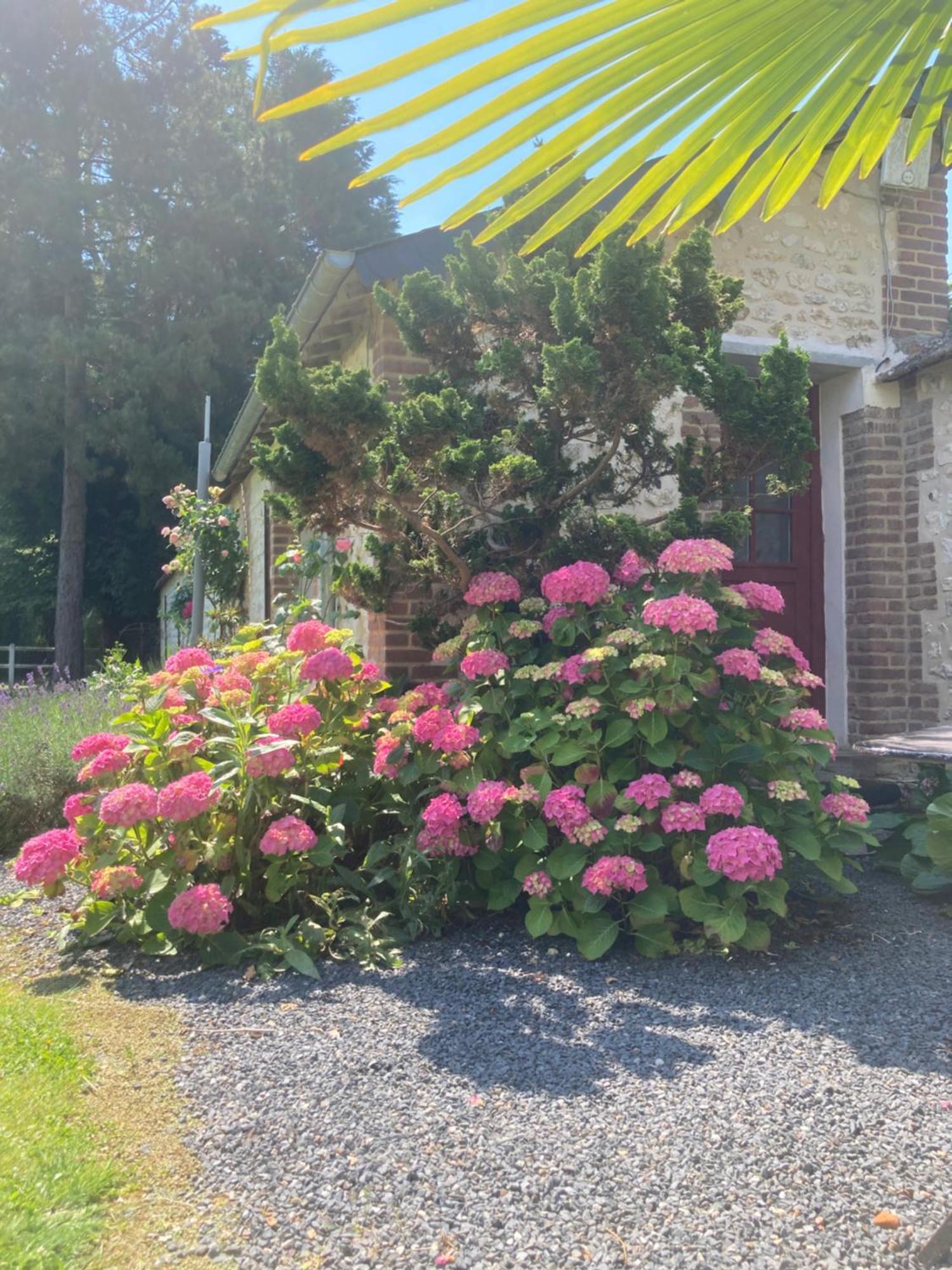 L'Oreade Amfreville-sur-Iton Exterior foto
